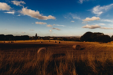 An Australian farm outback