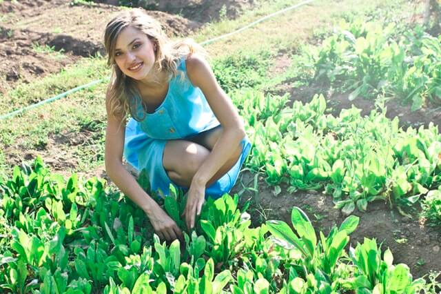 Young woman working in an agricultural farm